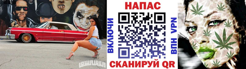 Бошки Шишки THC 21%  Плавск 